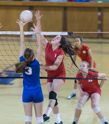 Volleyball