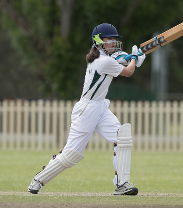 Cricket
