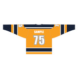 Ice Hockey Goalie Jersey